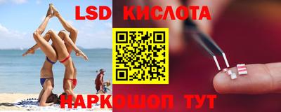 крисы Славянск-на-Кубани