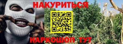 крисы Славянск-на-Кубани