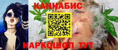 крисы Славянск-на-Кубани