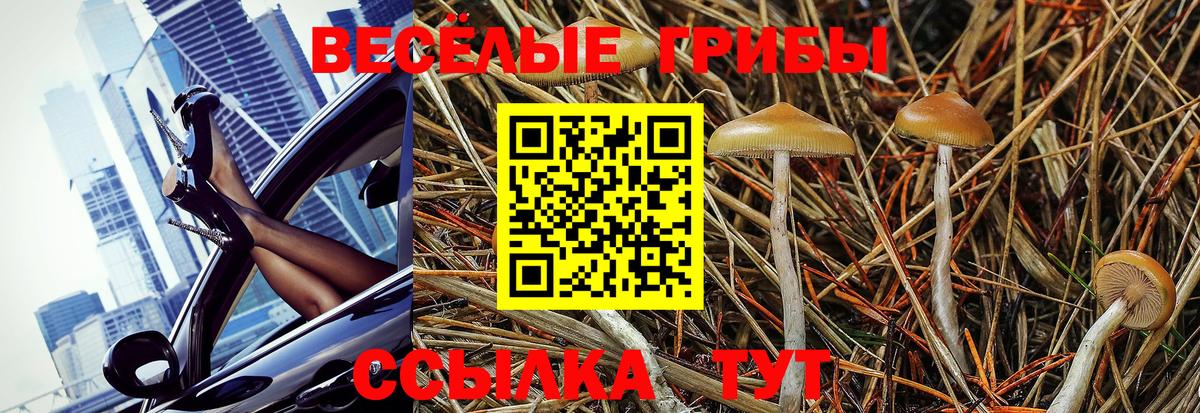 Алексеевка  Псилоцибиновые грибы Magic Shrooms  наркота  Вход с VPN  Псилоцибиновые грибы GOLDEN TEACHER 