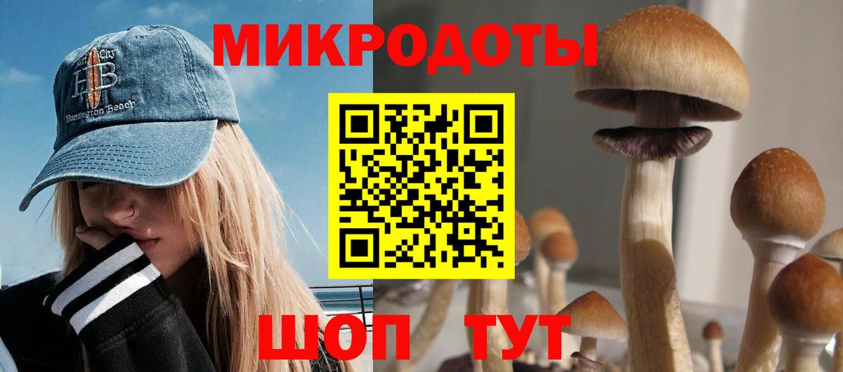 Галлюциногенные грибы Magic Shrooms Алексеевка